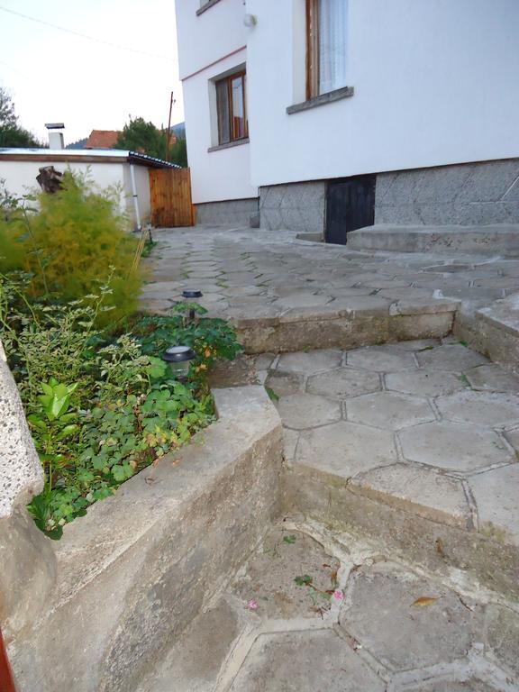 Guest House Ahp Mala Tsŭrkva Oda fotoğraf
