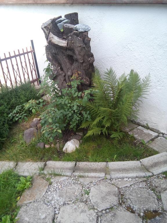 Guest House Ahp Mala Tsŭrkva Dış mekan fotoğraf