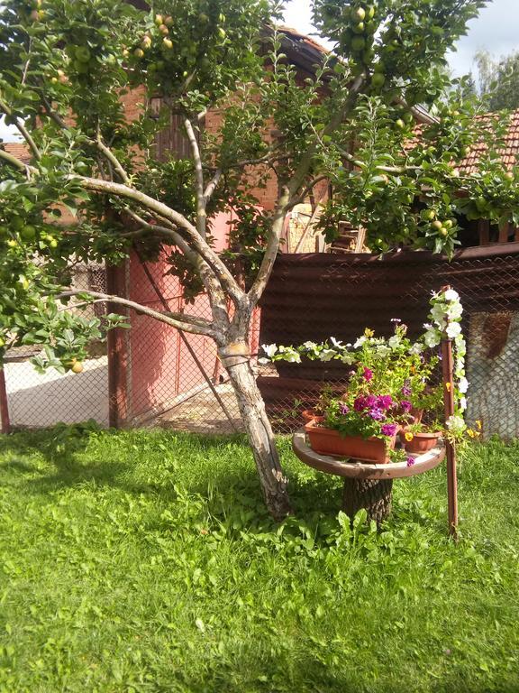 Guest House Ahp Mala Tsŭrkva Dış mekan fotoğraf